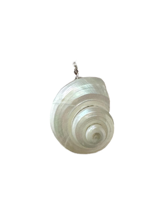 The Shell Charm