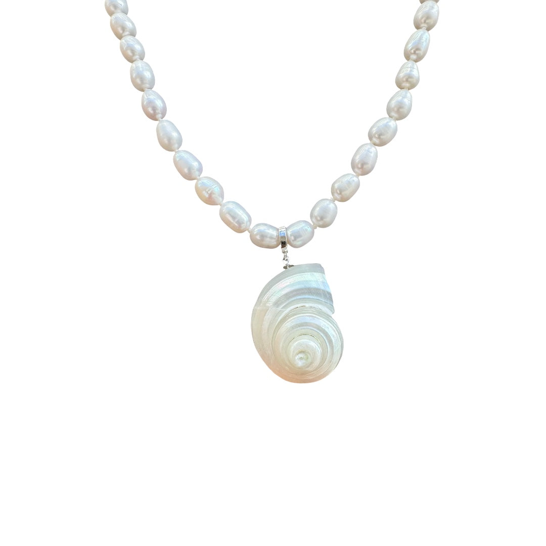 The Shell Necklace