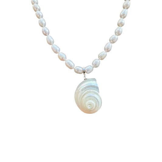 The Shell Necklace